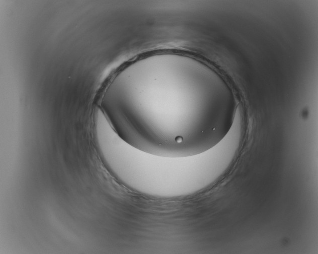 X0000111161308200907211217