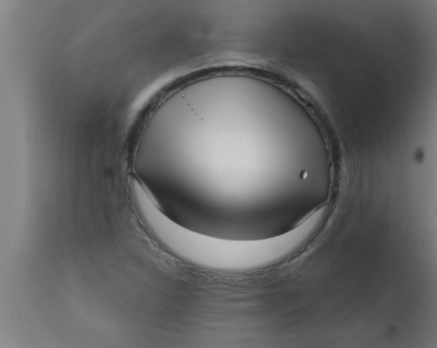 X0000111161310200907211217