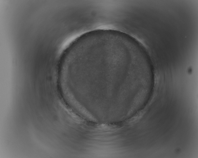 X0000111161311200907211217