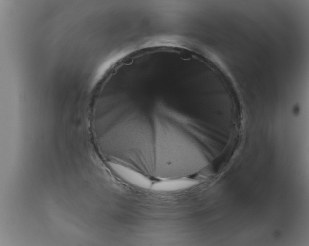 X0000111161312200907211217