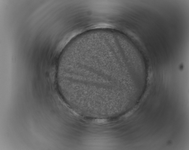 X0000111161313200907211217