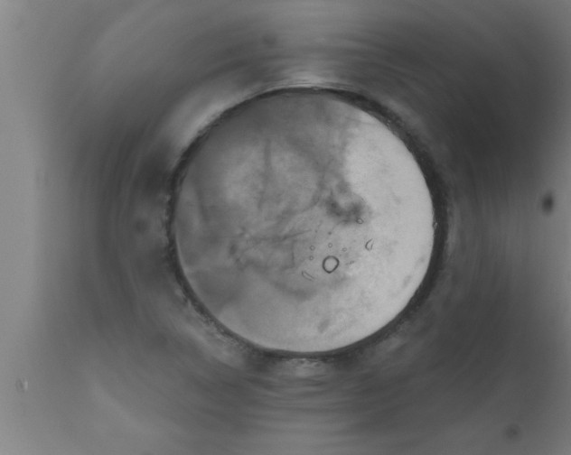 X0000111161314200907211217