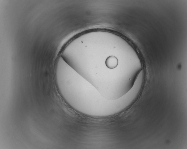 X0000111161316200907211217