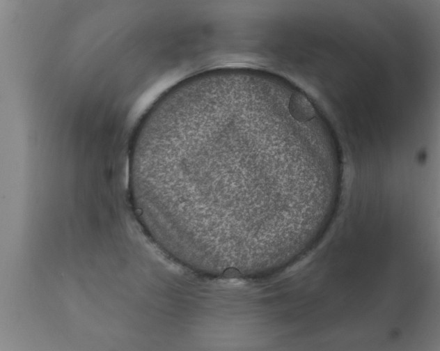 X0000111161317200907211217