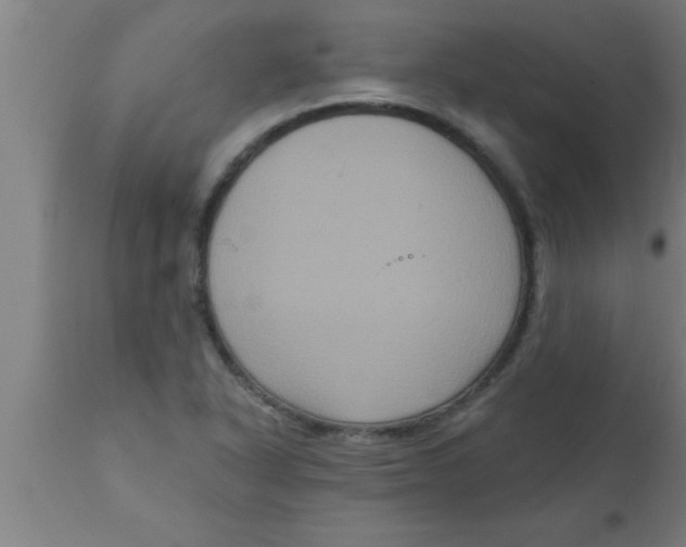 X0000111161318200907211217