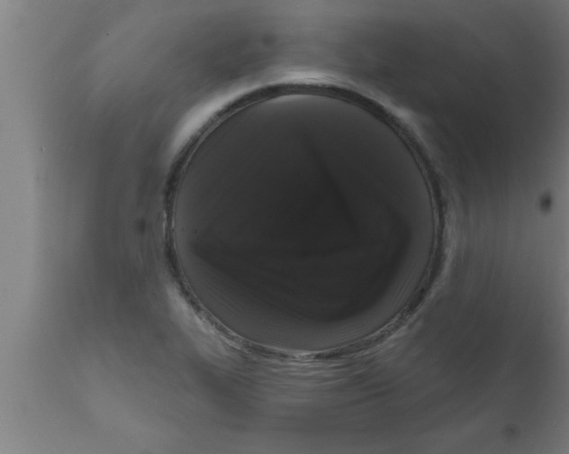 X0000111161319200907211217