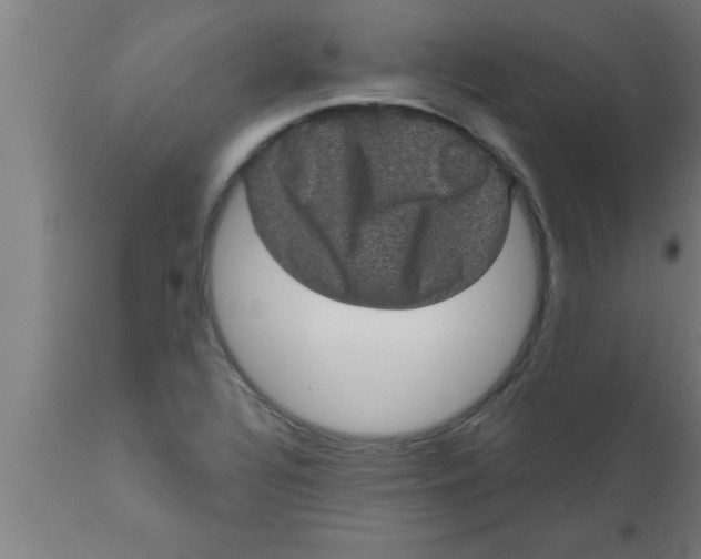 X0000111161320200907211217