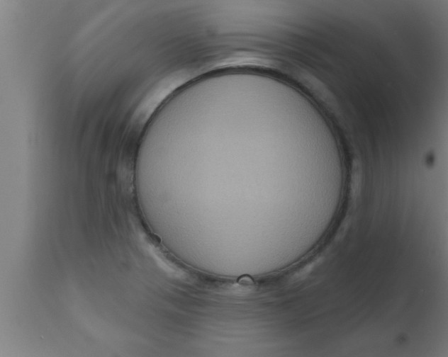 X0000111161321200907211217