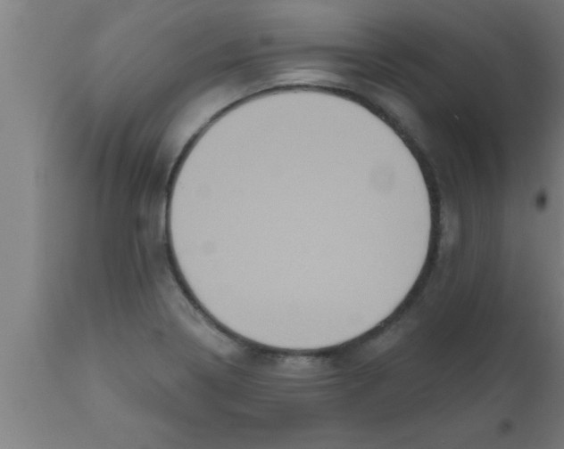 X0000111161322200907211217