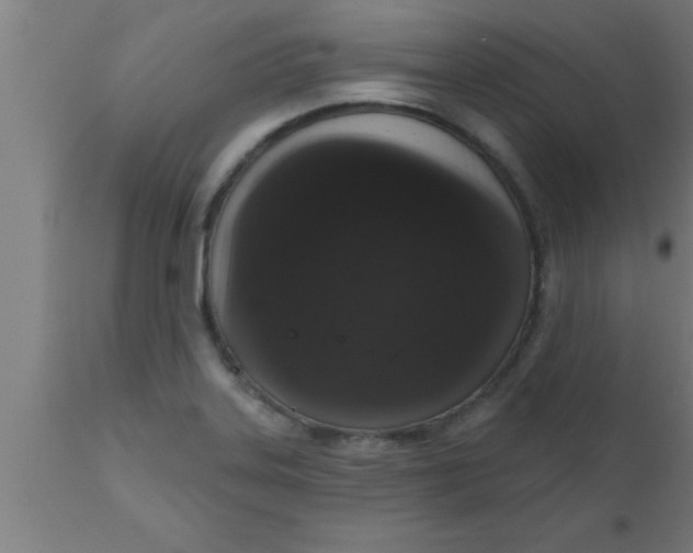 X0000111161323200907211217