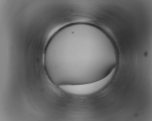 X0000111161324200907211217