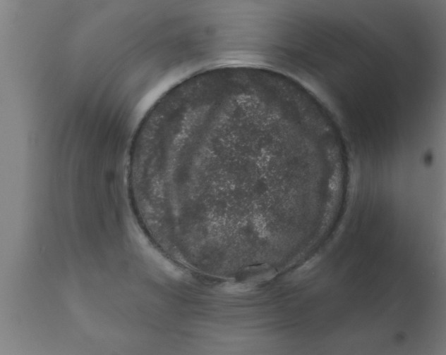 X0000111161325200907211217