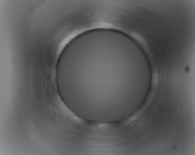 X0000111161326200907211217