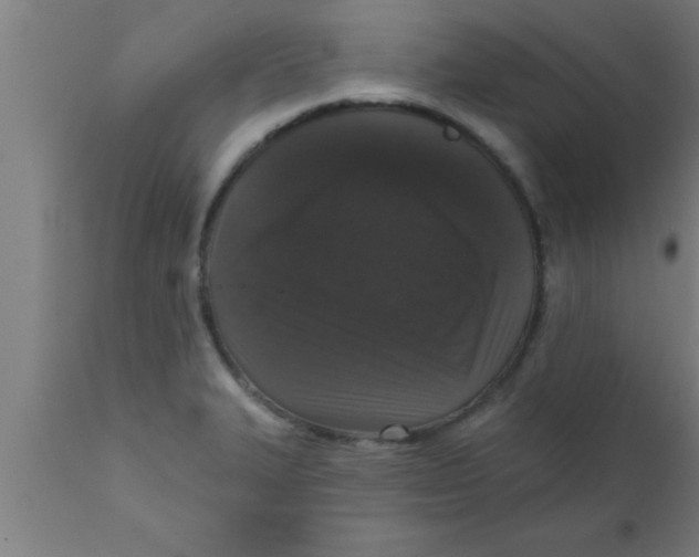 X0000111161327200907211217