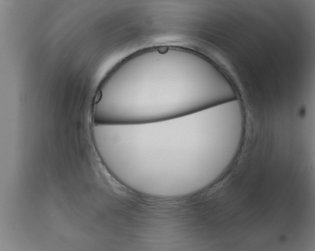 X0000111161328200907211218