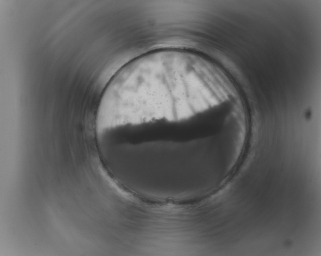 X0000111161329200907211218