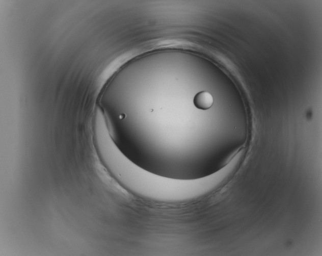 X0000111161330200907211218