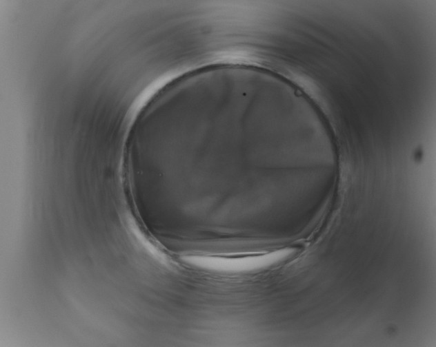 X0000111161331200907211218