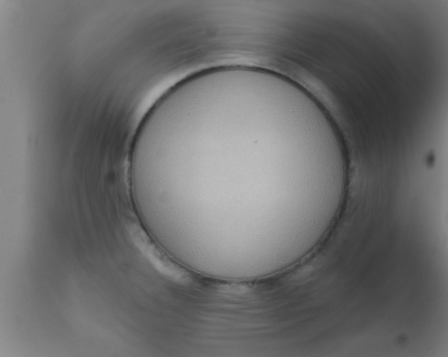 X0000111161332200907211218