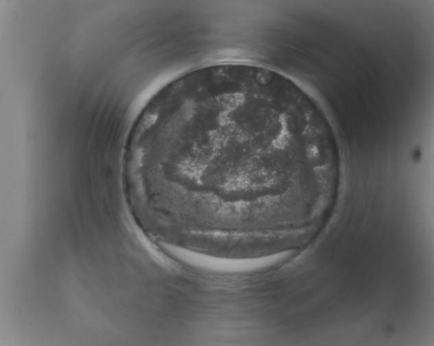 X0000111161333200907211218