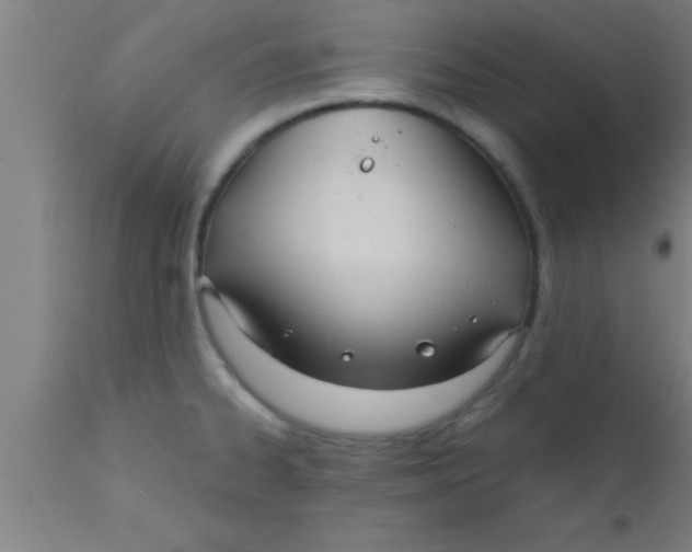 X0000111161334200907211218