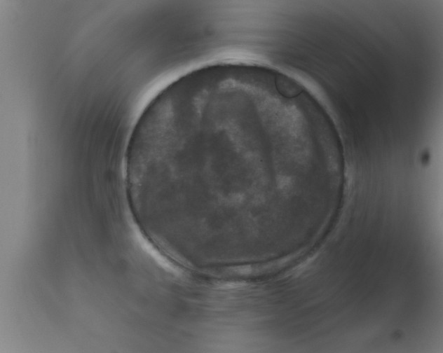 X0000111161335200907211218