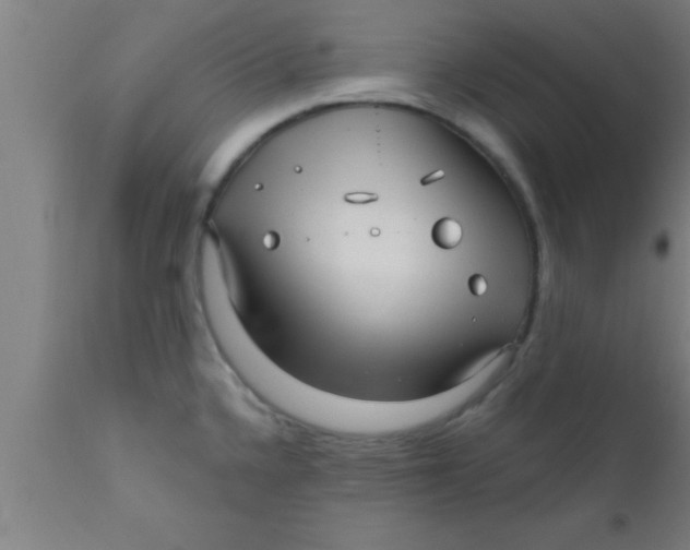 X0000111161336200907211218