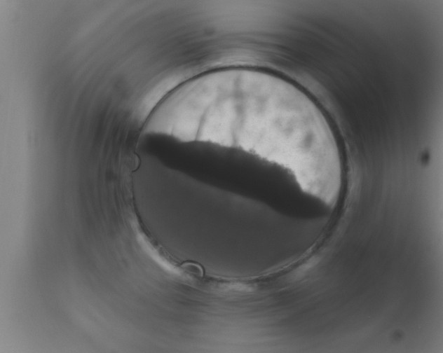 X0000111161337200907211218