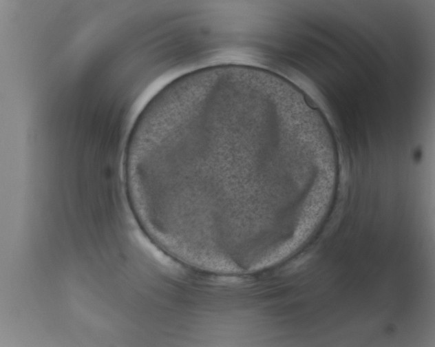 X0000111161339200907211218