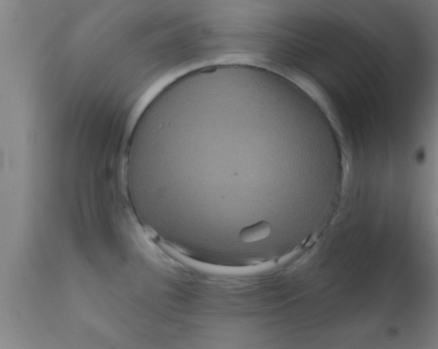 X0000111161340200907211218