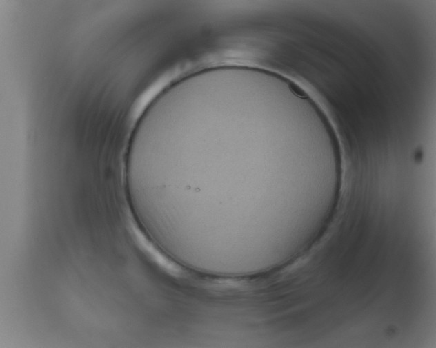 X0000111161341200907211218