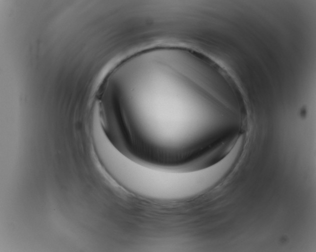 X0000111161342200907211218