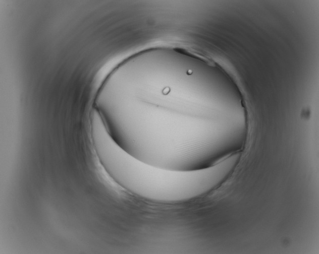 X0000111161344200907211218