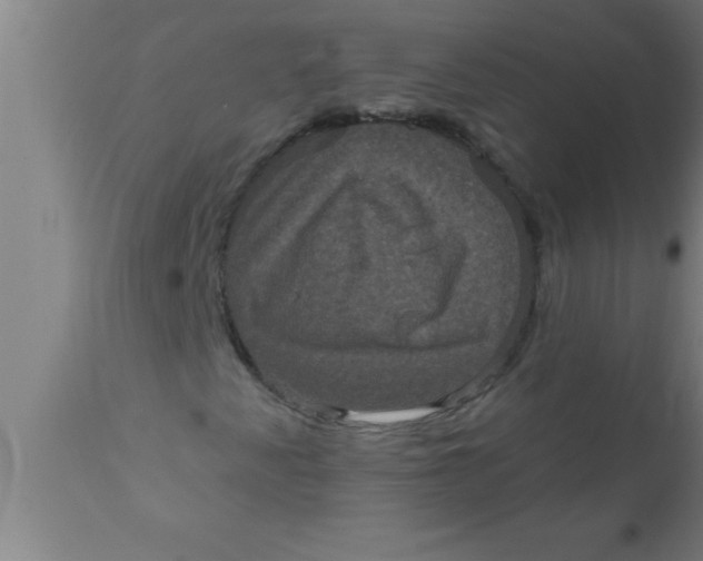 X0000111161345200907211217