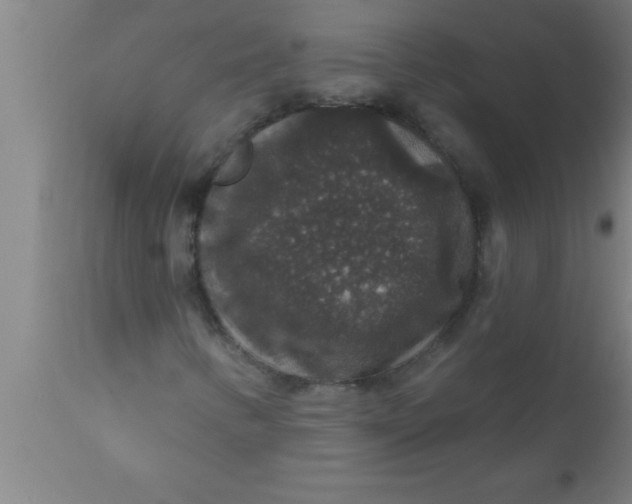 X0000111161346200907211217