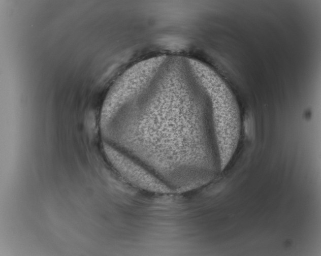 X0000111161347200907211217