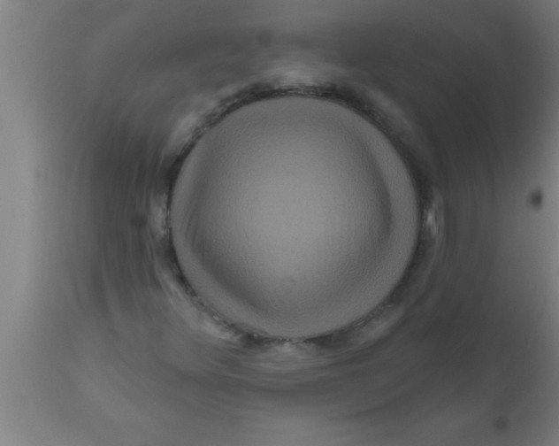 X0000111161348200907211217