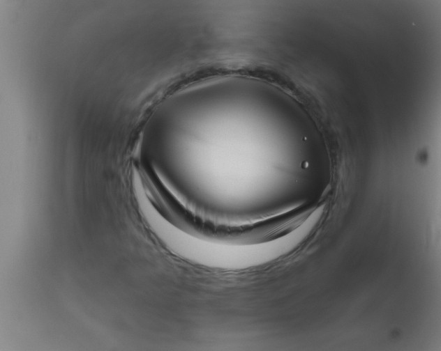 X0000111161349200907211217