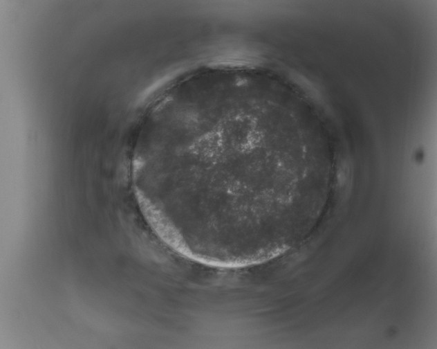 X0000111161350200907211217