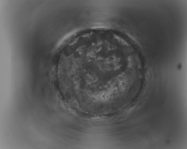 X0000111161351200907211217