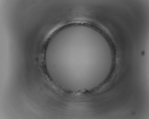 X0000111161352200907211217