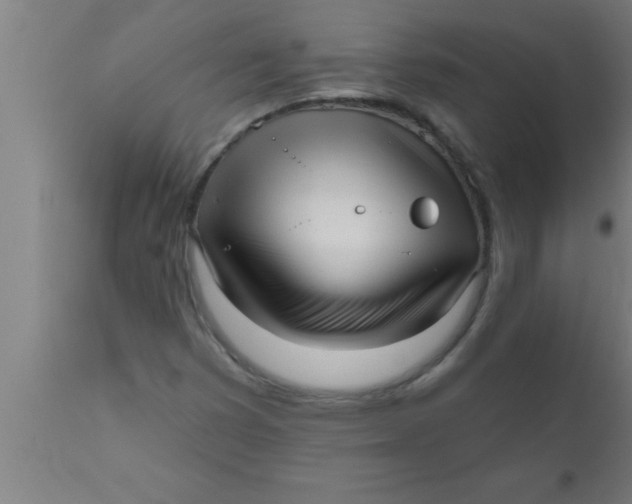 X0000111161353200907211217