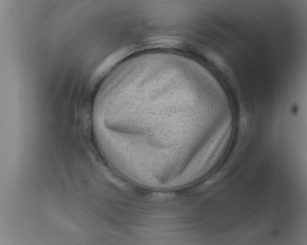 X0000111161354200907211217