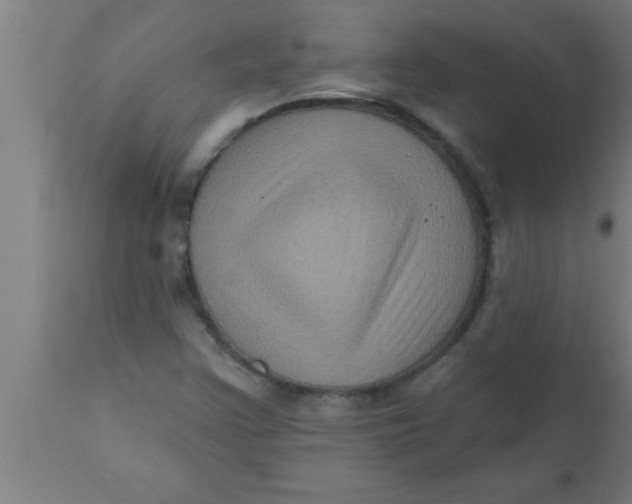 X0000111161355200907211217