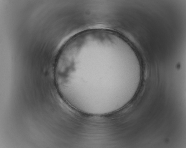 X0000111161356200907211217