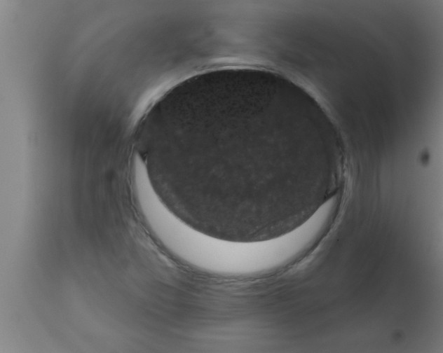 X0000111161357200907211217