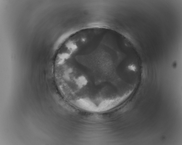 X0000111161358200907211217