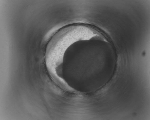 X0000111161359200907211217