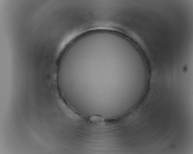 X0000111161360200907211217