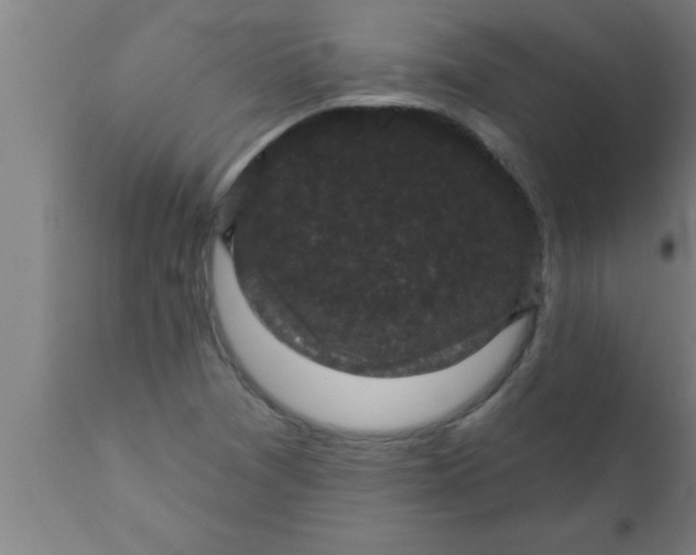 X0000111161361200907211217